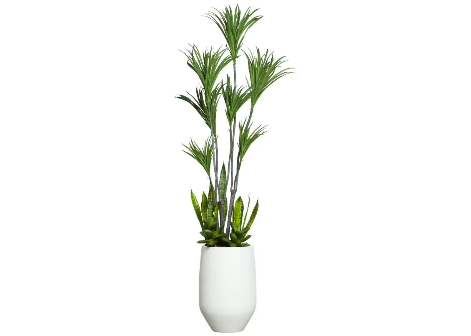 DRACENA COMBO IN WHITE SANDSTONE POT