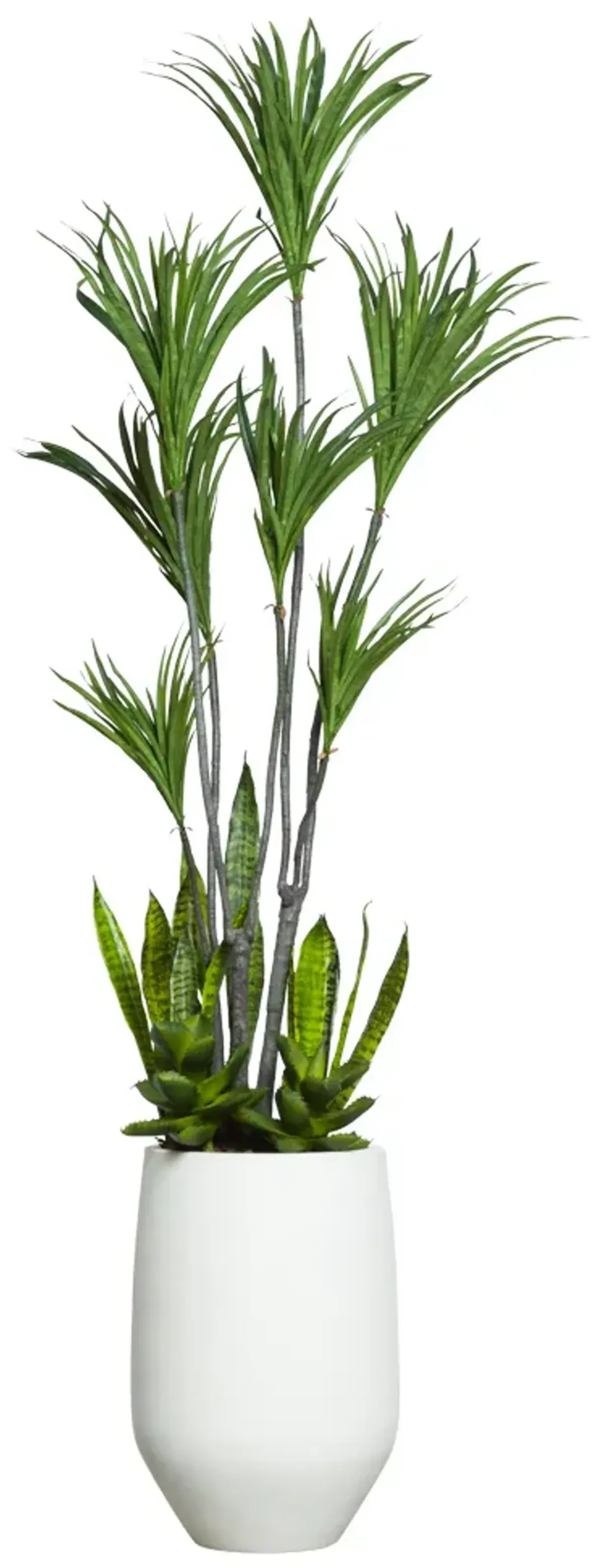 DRACENA COMBO IN WHITE SANDSTONE POT