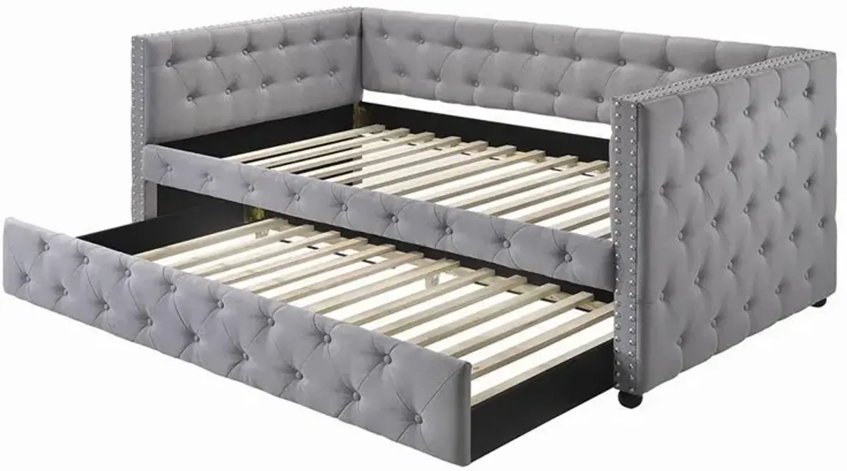 Coaster Mockern Upholstered Twin Daybed with Trundle Grey