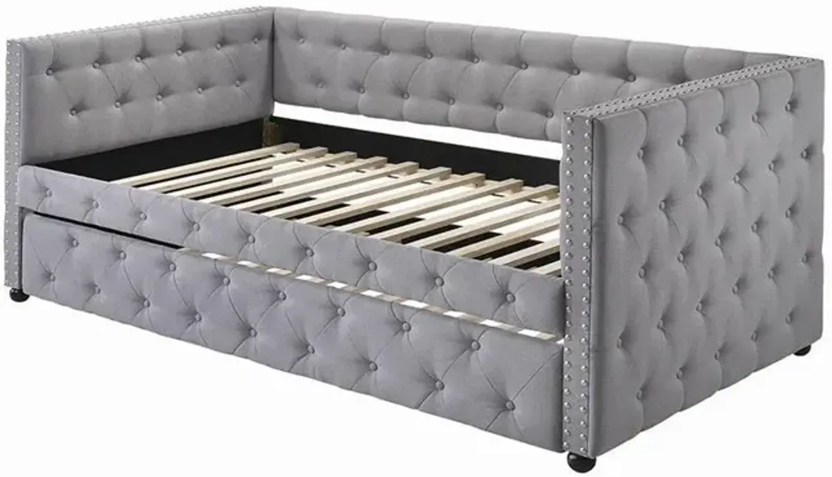 Coaster Mockern Upholstered Twin Daybed with Trundle Grey