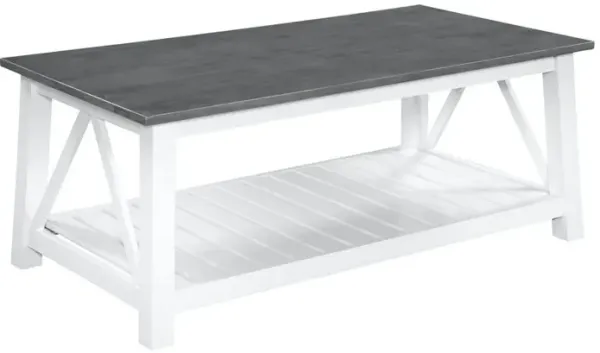 John Thomas Surrey Coffee Table in Heather Gray & White