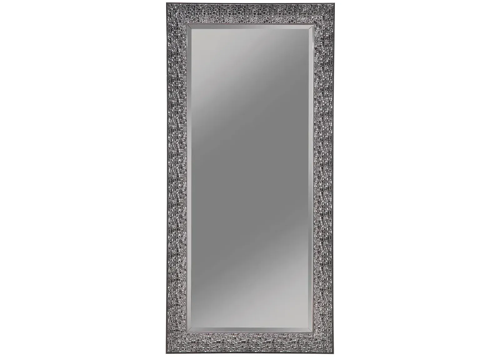 Coaster Rollins 32 X 66 Inch Rectangular Floor Mirror Black