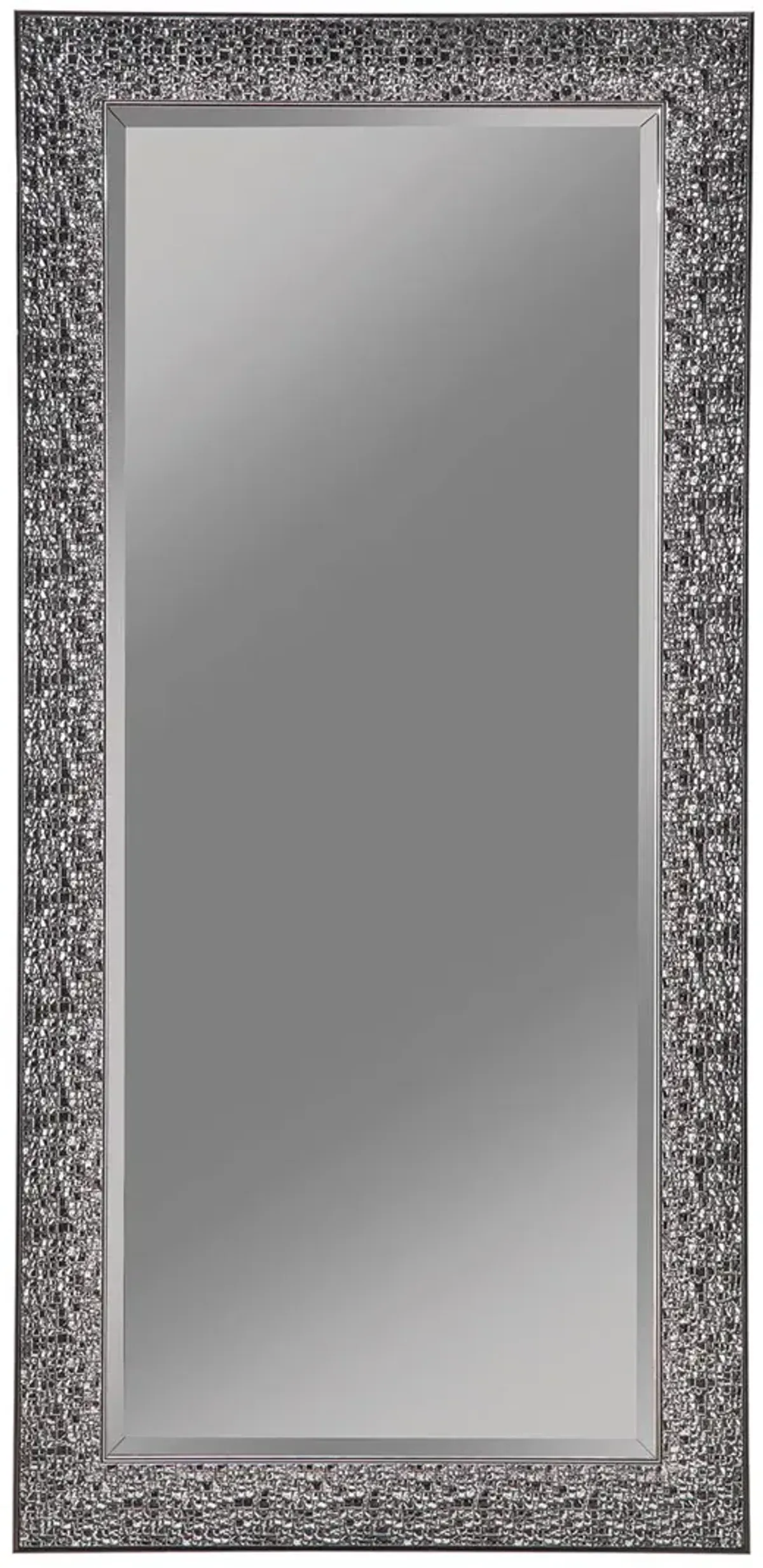 Coaster Rollins 32 X 66 Inch Rectangular Floor Mirror Black