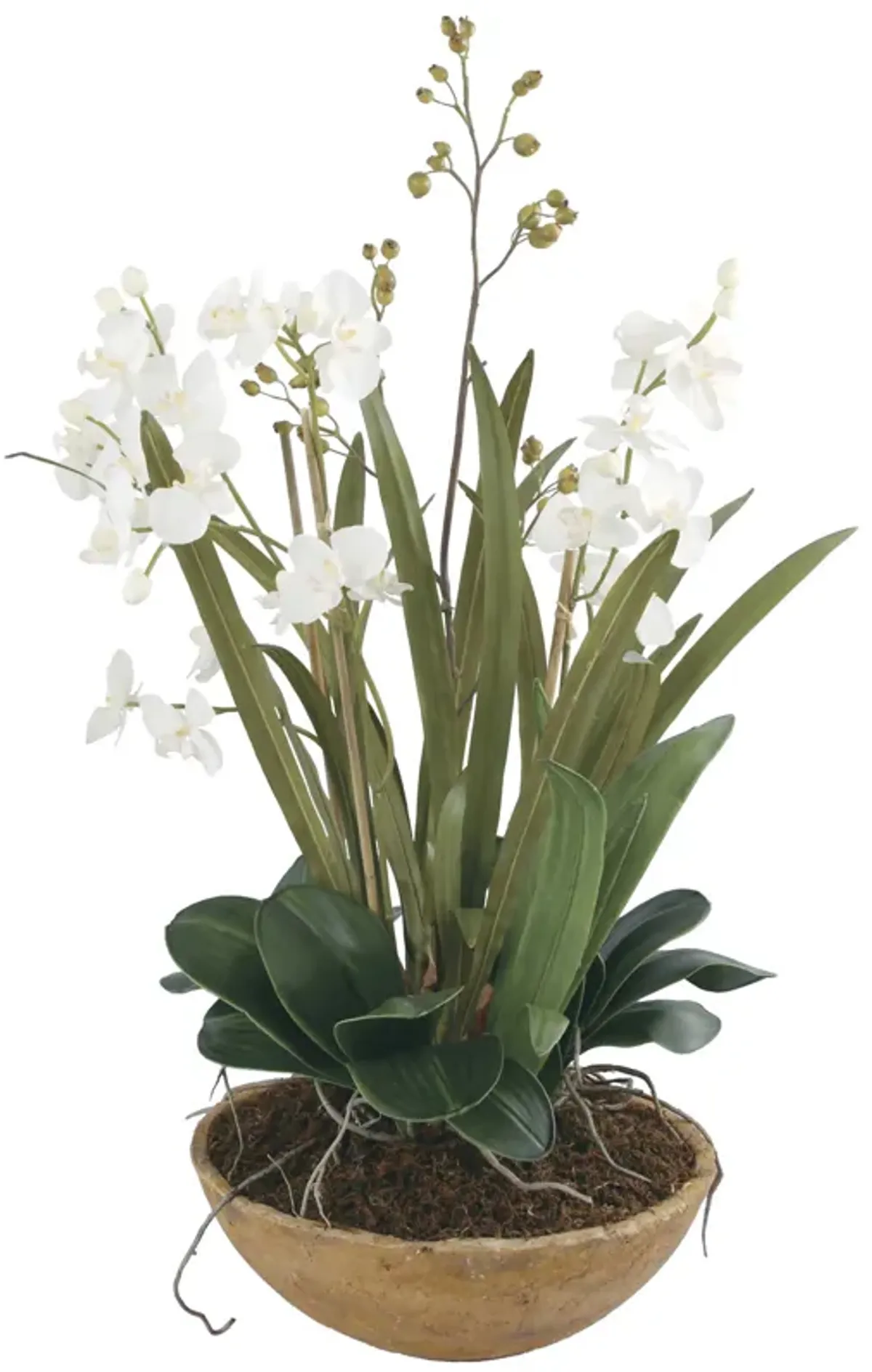 Uttermost Orchid Planter