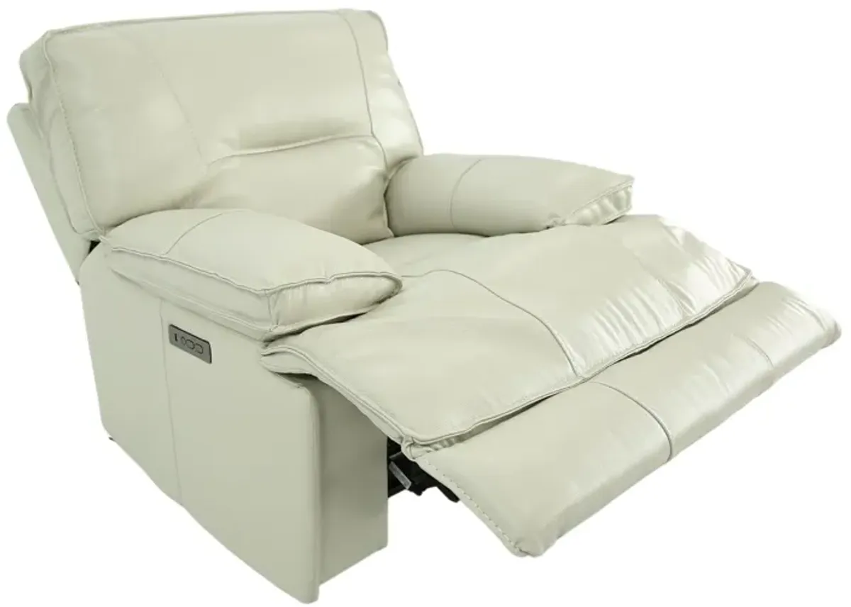 HENDRIX STEEL LEATHER 2P POWER RECLINER