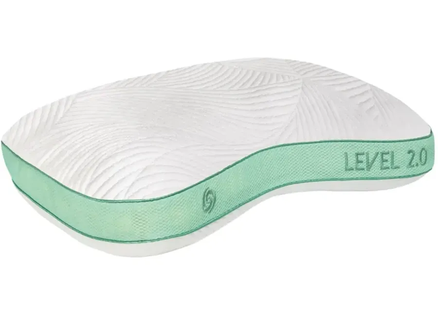 LEVEL TRANSITION 2.0 BACK SLEEPER PILLOW