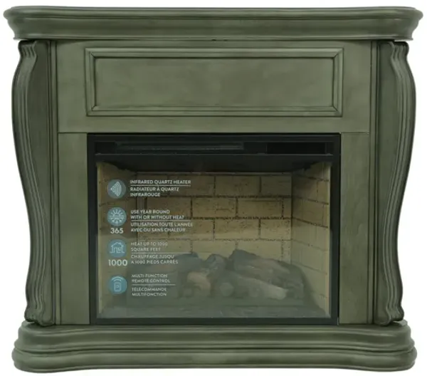 JAYDEN GRAY FIREPLACE WITH INSERT