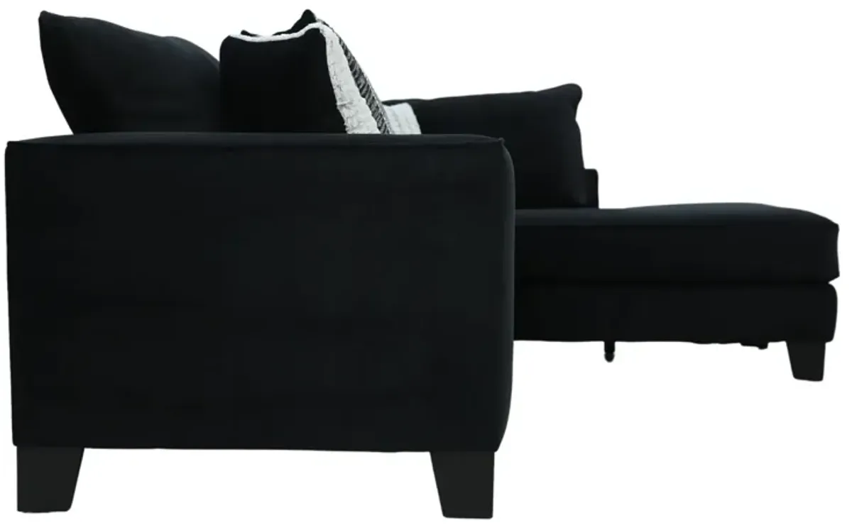 GROOVY BLACK 2 PIECE SECTIONAL