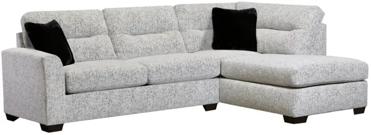 VICTORIE 2 PIECE SECTIONAL