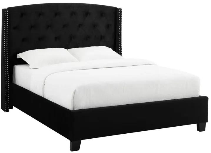 EVA BLACK QUEEN BED