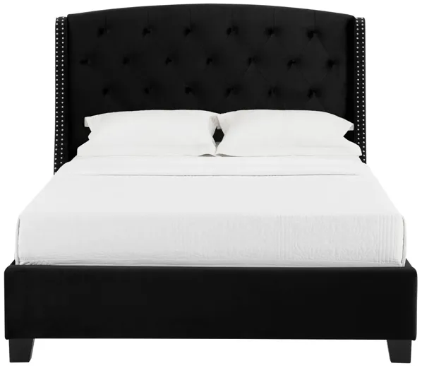 EVA BLACK QUEEN BED