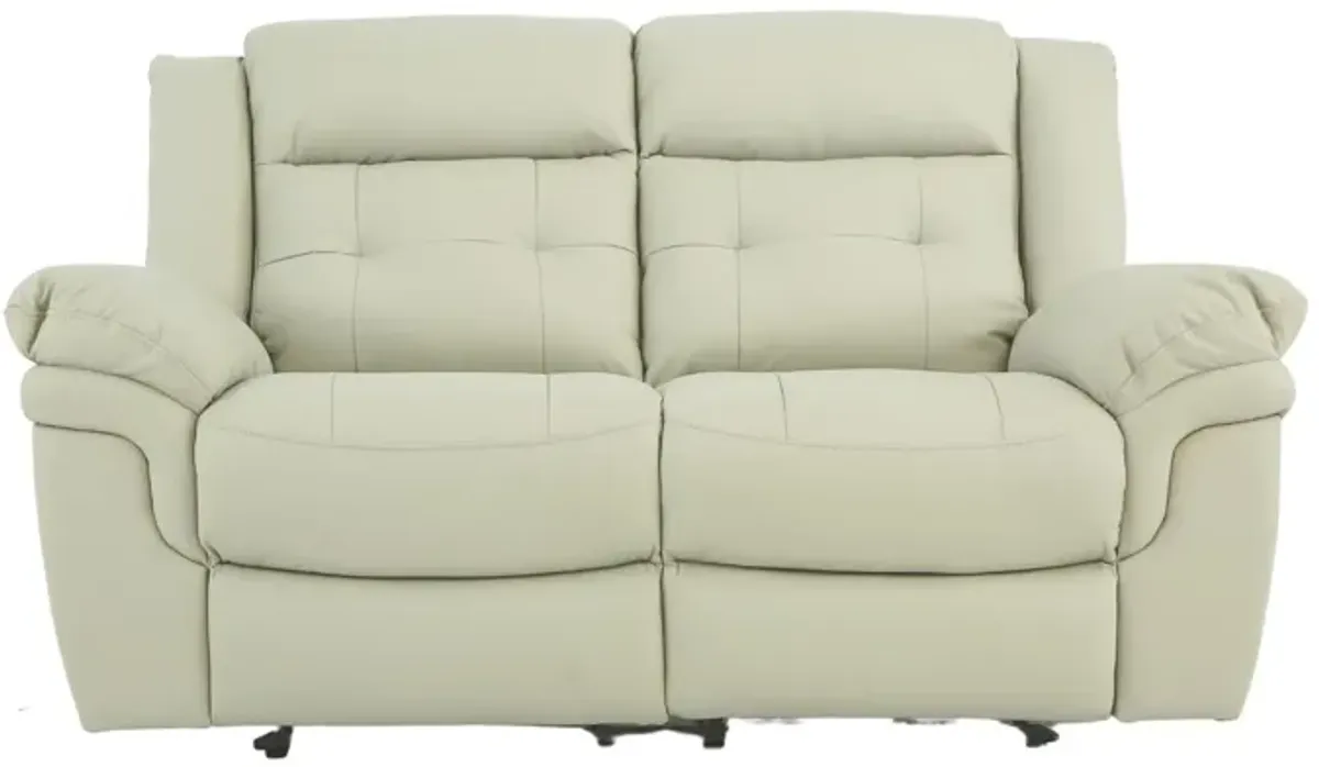 NEWBURY DOVE LEATHER 1P POWER LOVESEAT