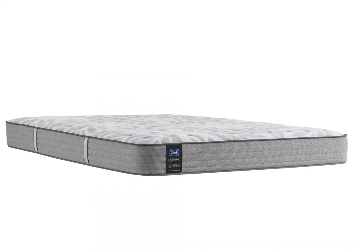 SILVER PINE FIRM QUEEN MATTRESS