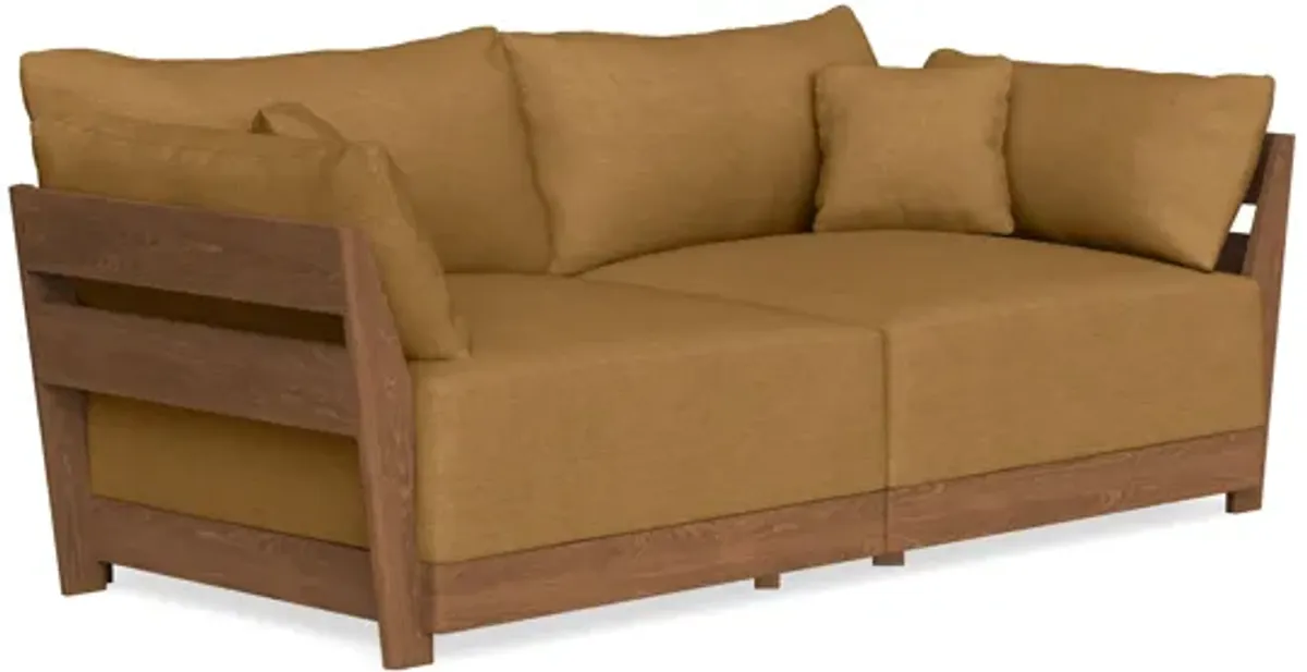 Modular Bondi Espresso 2-Seater Sofa in Dijon | Memory Foam Blend