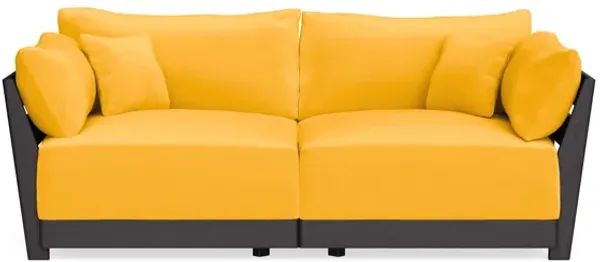 Modular Bondi Black 2-Seater Sofa in Marigold | Classic Blend