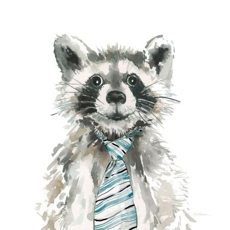 Handsome Raccoon Wall Art