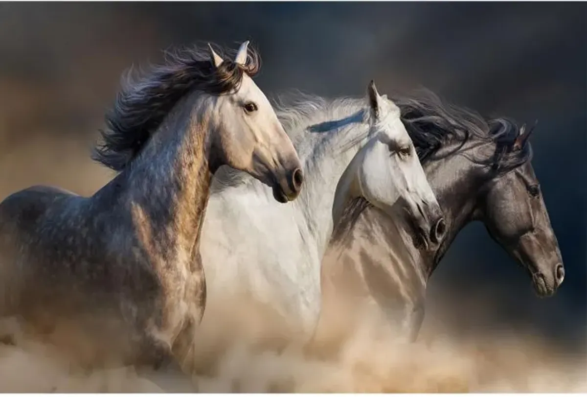 Running Horses Glass Wall Art