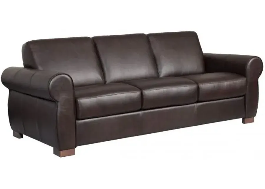 Bergamo Leather Queen Sleeper Sofa & Mattress