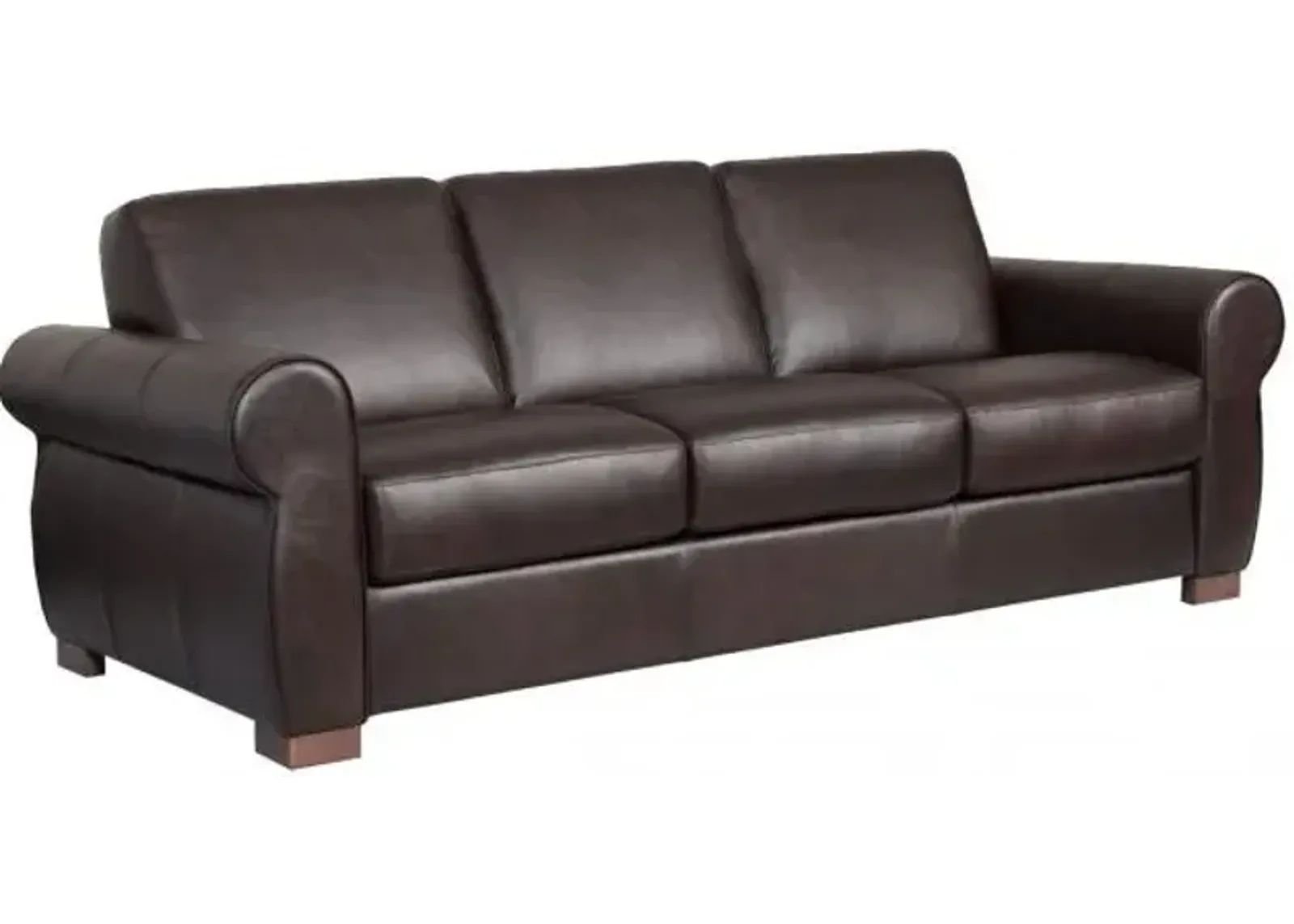 Bergamo Leather Queen Sleeper Sofa & Mattress