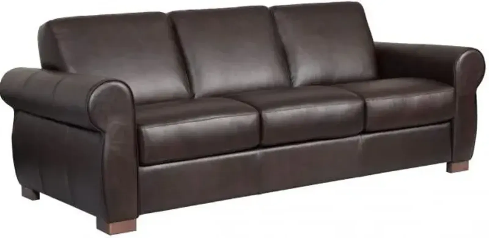 Bergamo Leather Queen Sleeper Sofa & Mattress