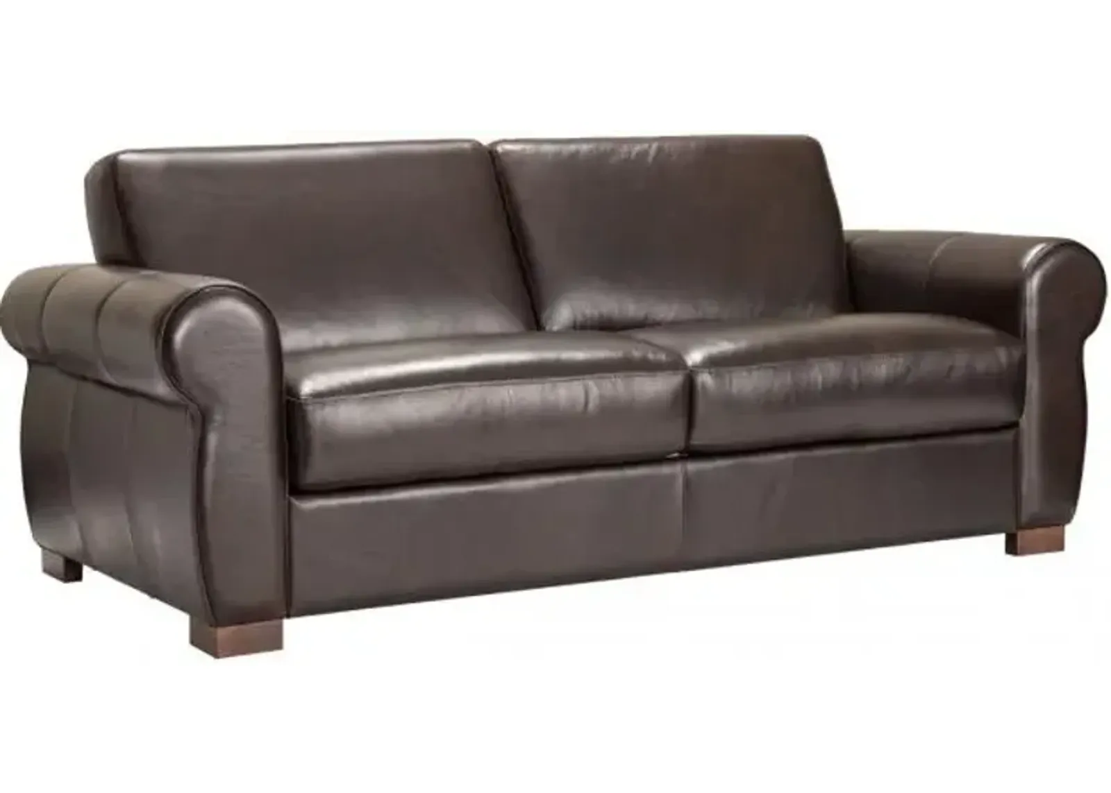 Bergamo Leather Full Sleeper Sofa & Mattress