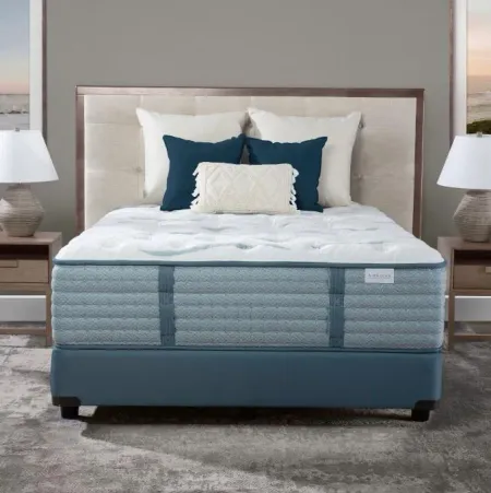 Olympus Firm Twin XL Mattress & Contempo IV Adjustable Power Base