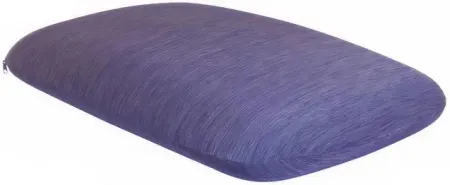 Recharge Standard Contour Pillow
