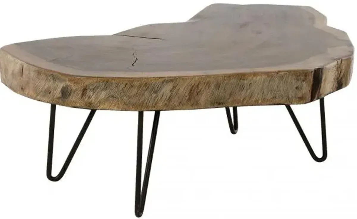 Dumont Cocktail Table