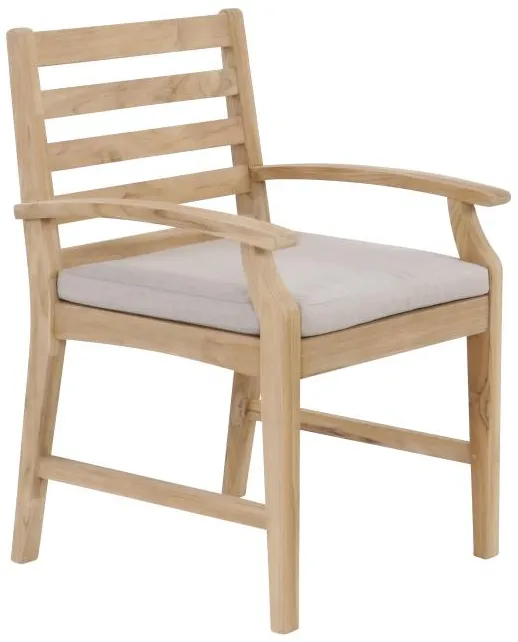 Cheeki Teaki Dining Arm Chair