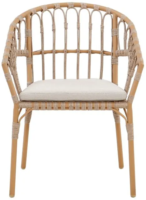 Hermosa Dining Chair
