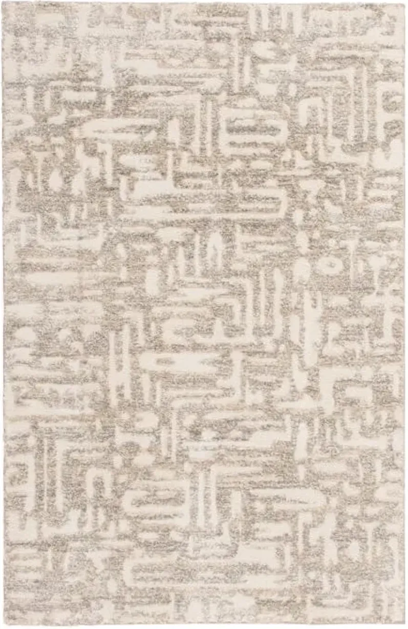 5'x8' Cocos Area Rug