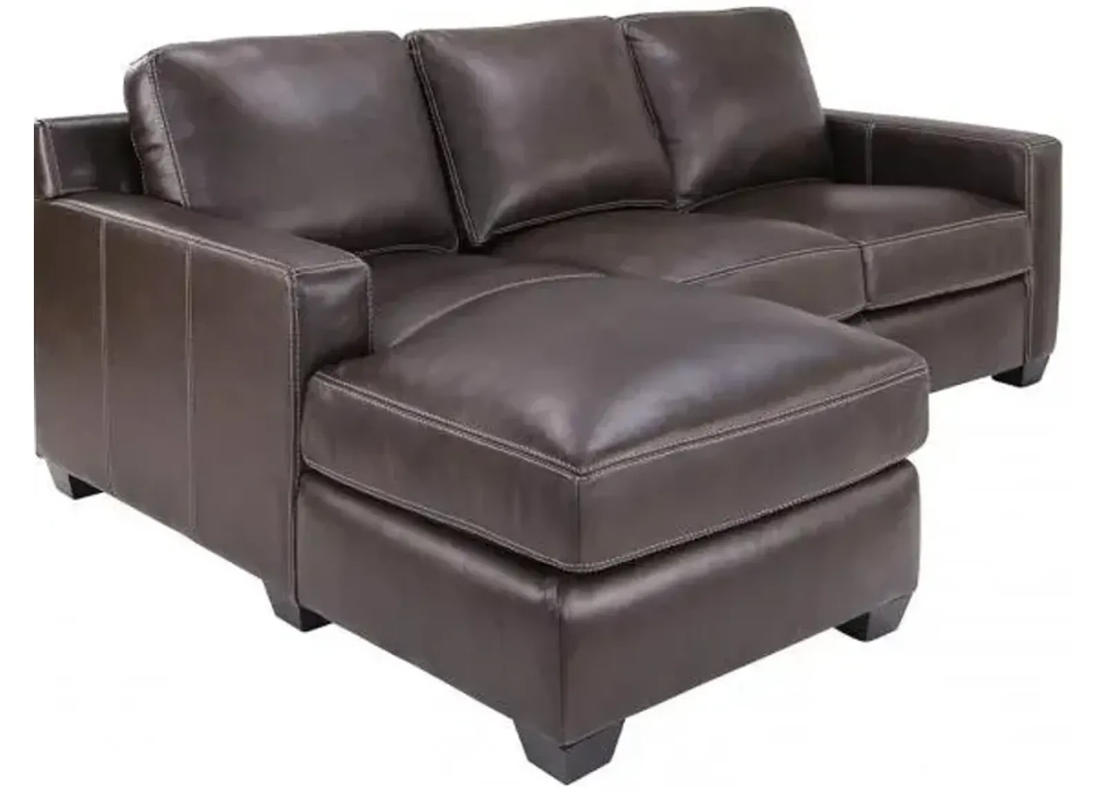 Madison Leather 2pc Sectional