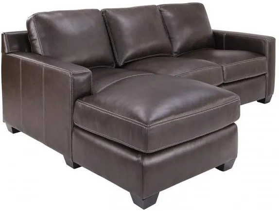 Madison Leather 2pc Sectional