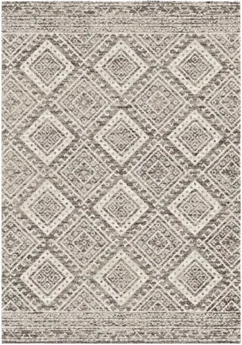 8'x10' Toluca Area Rug