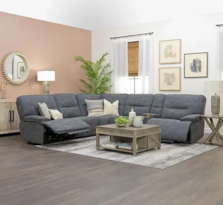 Magnus Sectional