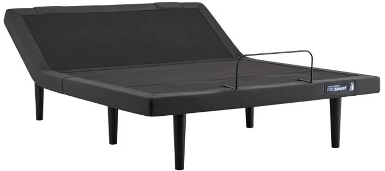 Tempur-Pedic Ergo ProSmart Eastern King Power Base