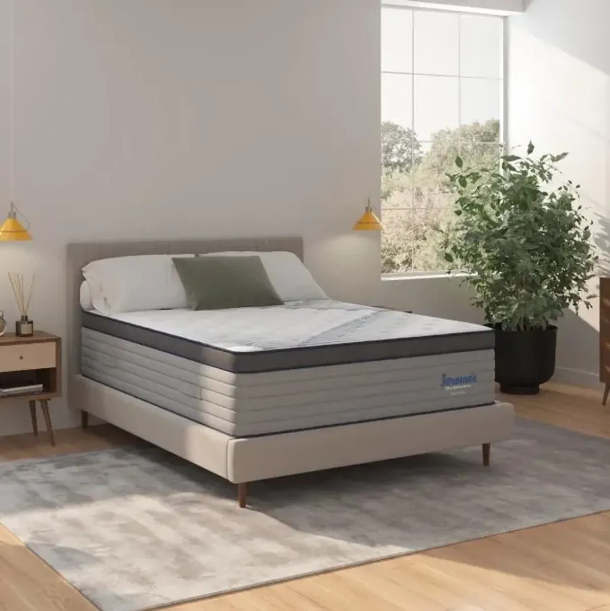 Revitalize Plush Eastern King Mattress & Contempo IV Adjustable Power Base