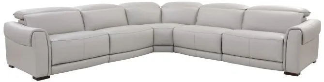 Paradigm 5pc Power Reclining Leather Sectional