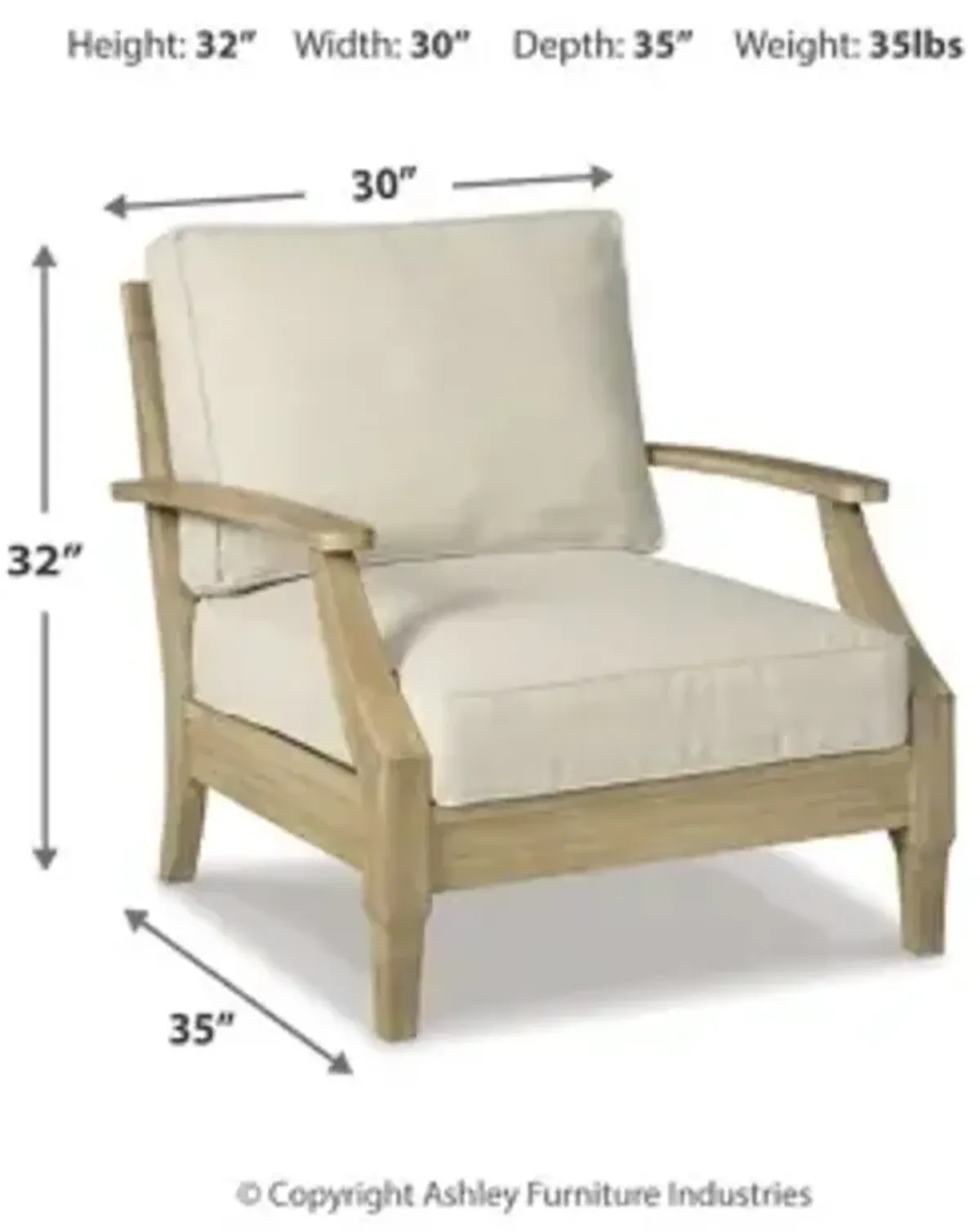 Clare View Lounge Chair with Cushion