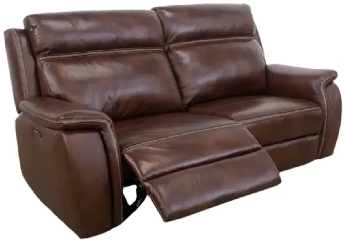 Tulare Leather Dual Power Reclining Sofa