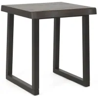 Crawford Street NATURE END TABLE