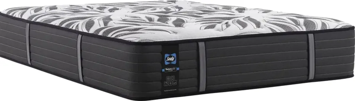 Sealy� EXUBERANT QUEEN FIRM MATTRESS ONLY