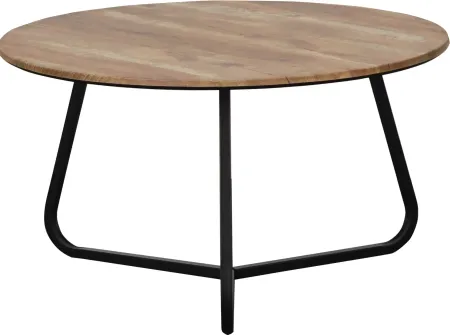 Dwelling FINLEY COCKTAIL TABLE