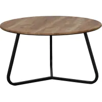 Dwelling FINLEY COCKTAIL TABLE