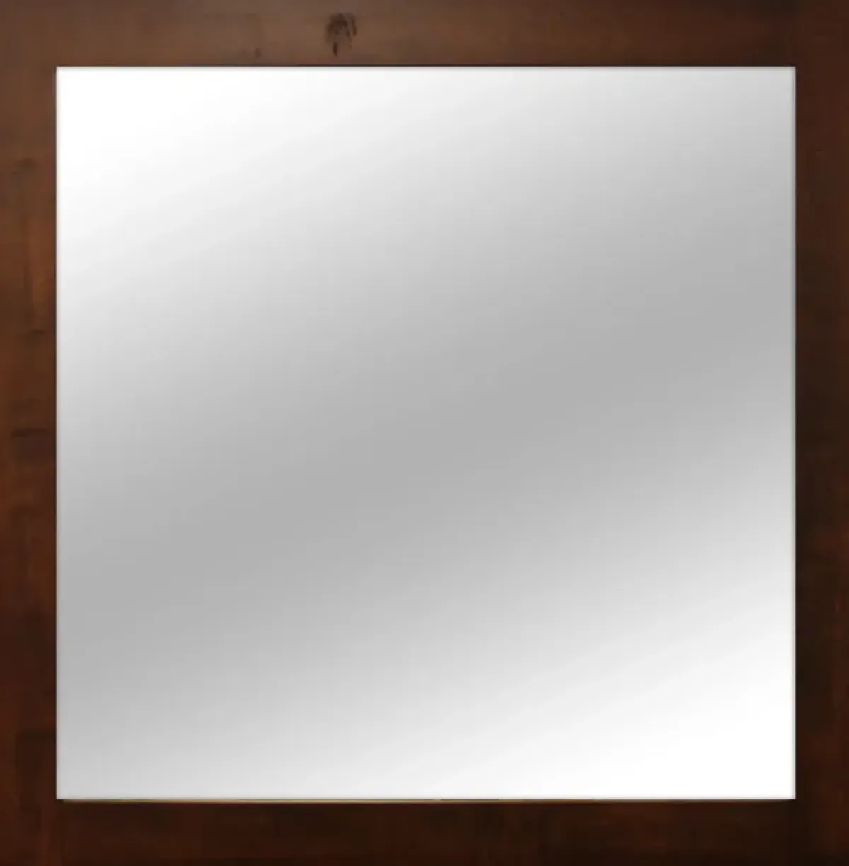 Daniel's Amish Lewiston Mirror