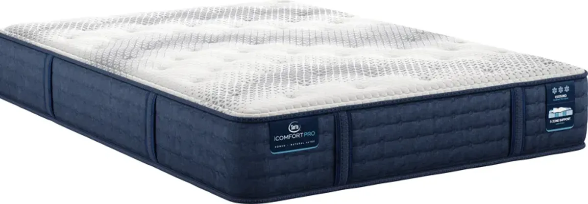 iComfort� by Serta AMBROSE CAL KING PLUSH MATTRESS ONLY