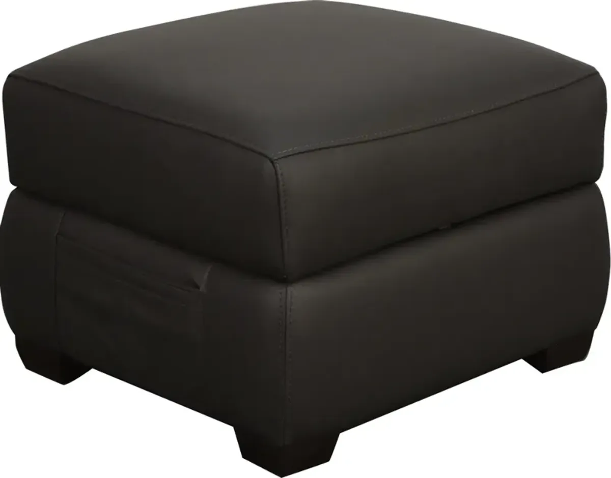 HTL International Furniture DENALI LEATHER STORAGE OTTOMAN