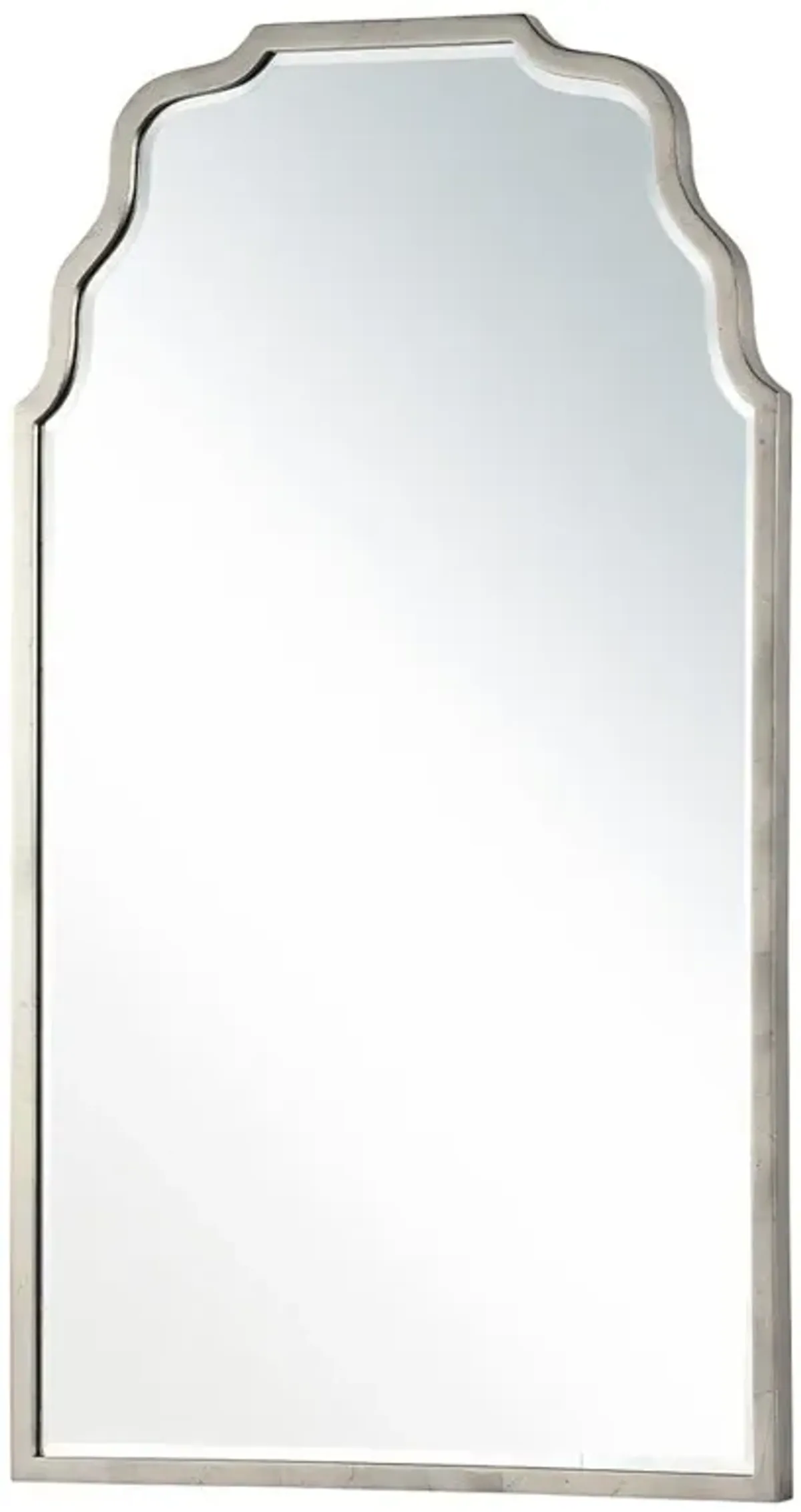 Tanya French Country Silver Iron Frame Wall Mirror