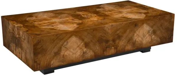 John-Richard Larron Rustic Modern Walnut Burl Slab Rectangular Block Coffee Table