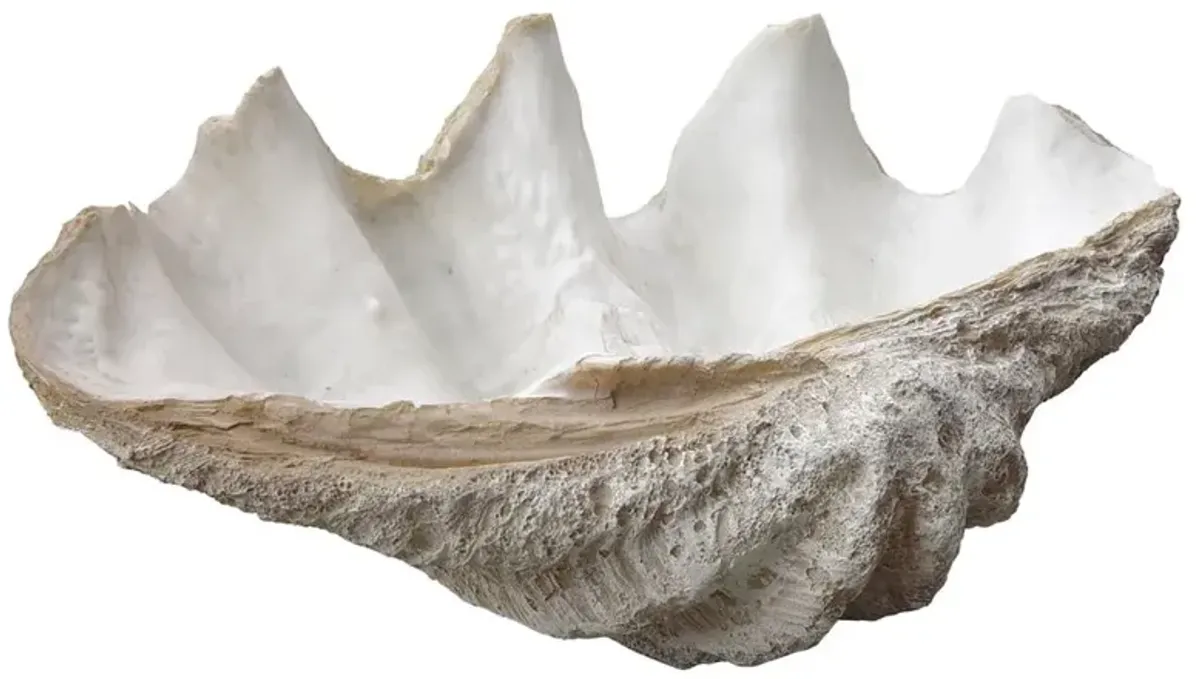 Lombock Clam Shell Ornament - 28W